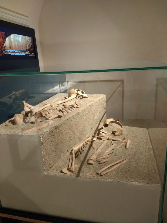Skeletal remains found during excavation at Mamertine